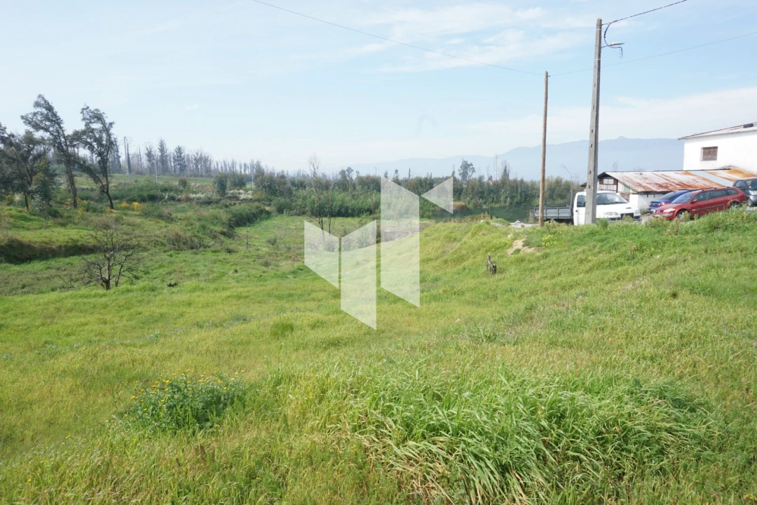 Terreno para Venda em Tondela e Nandufe Foto 13