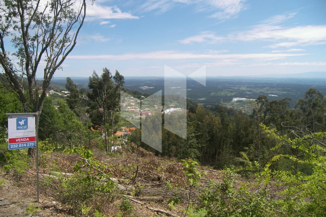 Terreno para Venda em Guardão Foto 3