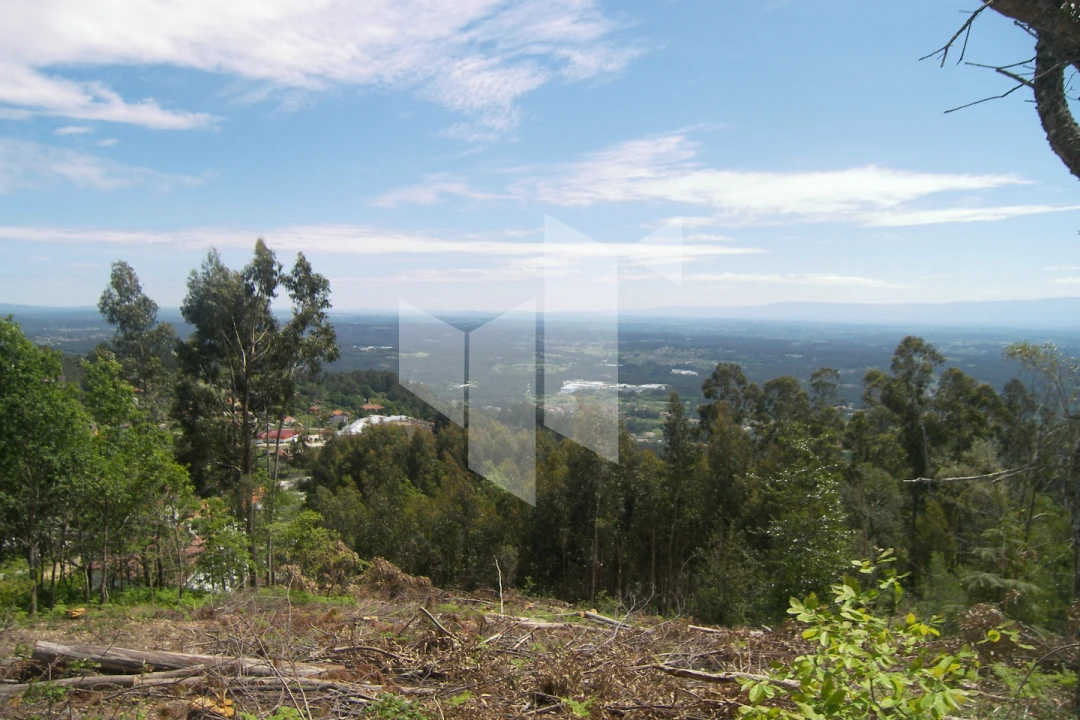 Terreno para Venda em Guardão Foto 4