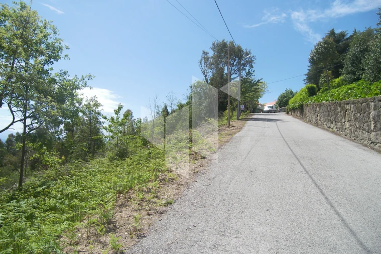 Terreno para Venda em Guardão Foto 6