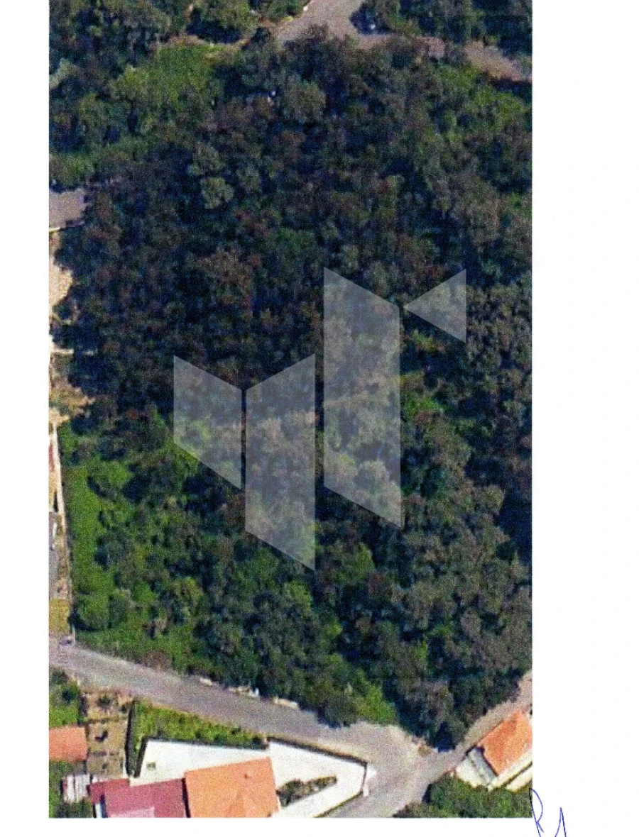 Terreno para Venda em Guardão Foto 7