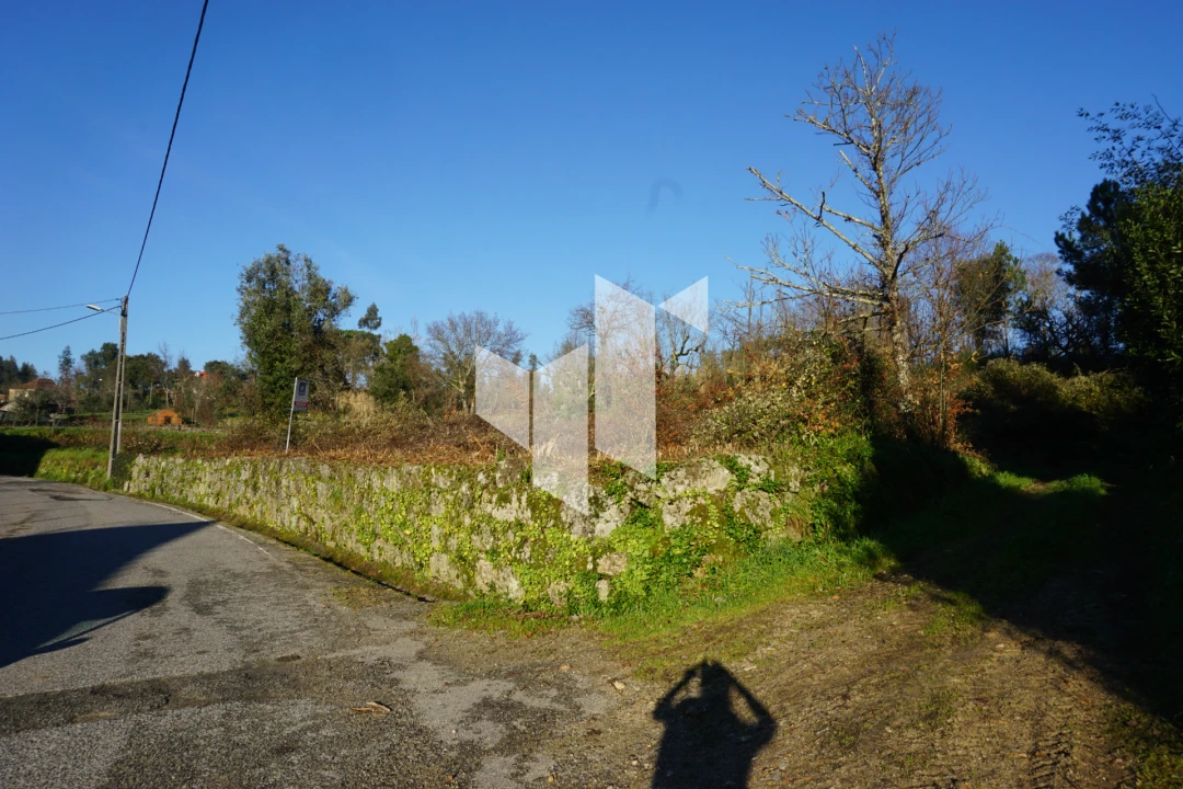 Terreno para Venda em Mouraz e Vila Nova da Rainha Foto 5