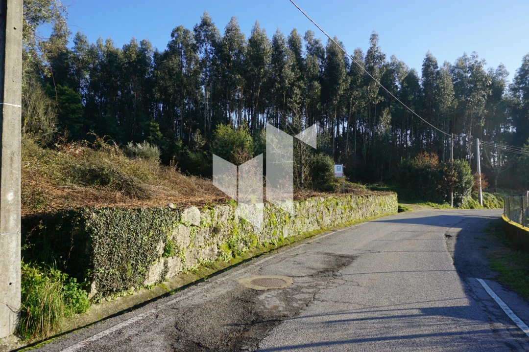 Terreno para Venda em Mouraz e Vila Nova da Rainha Foto 3