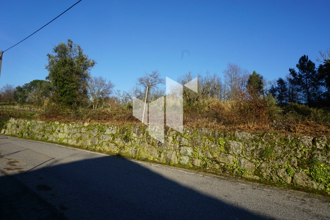 Terreno para Venda em Mouraz e Vila Nova da Rainha Foto 8
