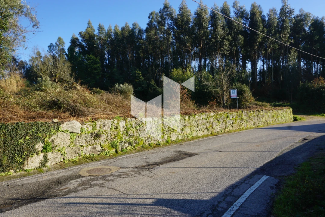 Terreno para Venda em Mouraz e Vila Nova da Rainha Foto 1