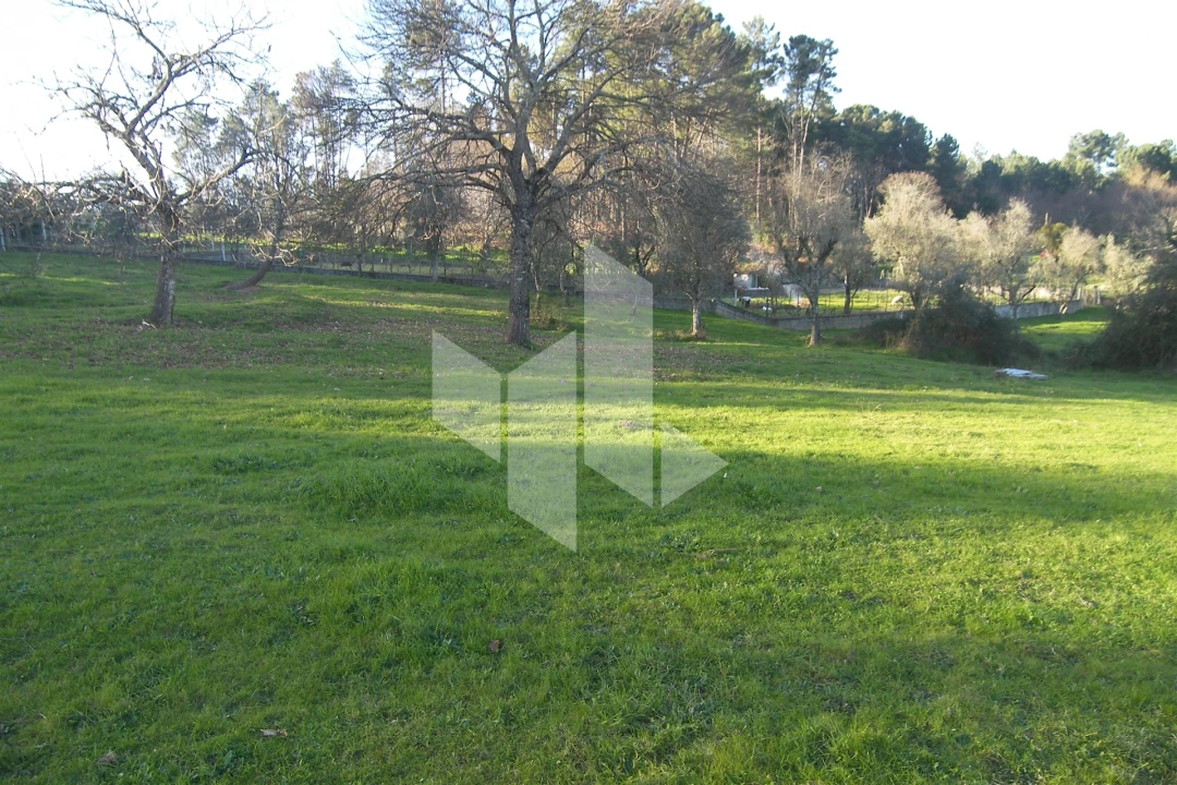 Terreno para Venda em São Miguel do Outeiro e Sabugosa Foto 4