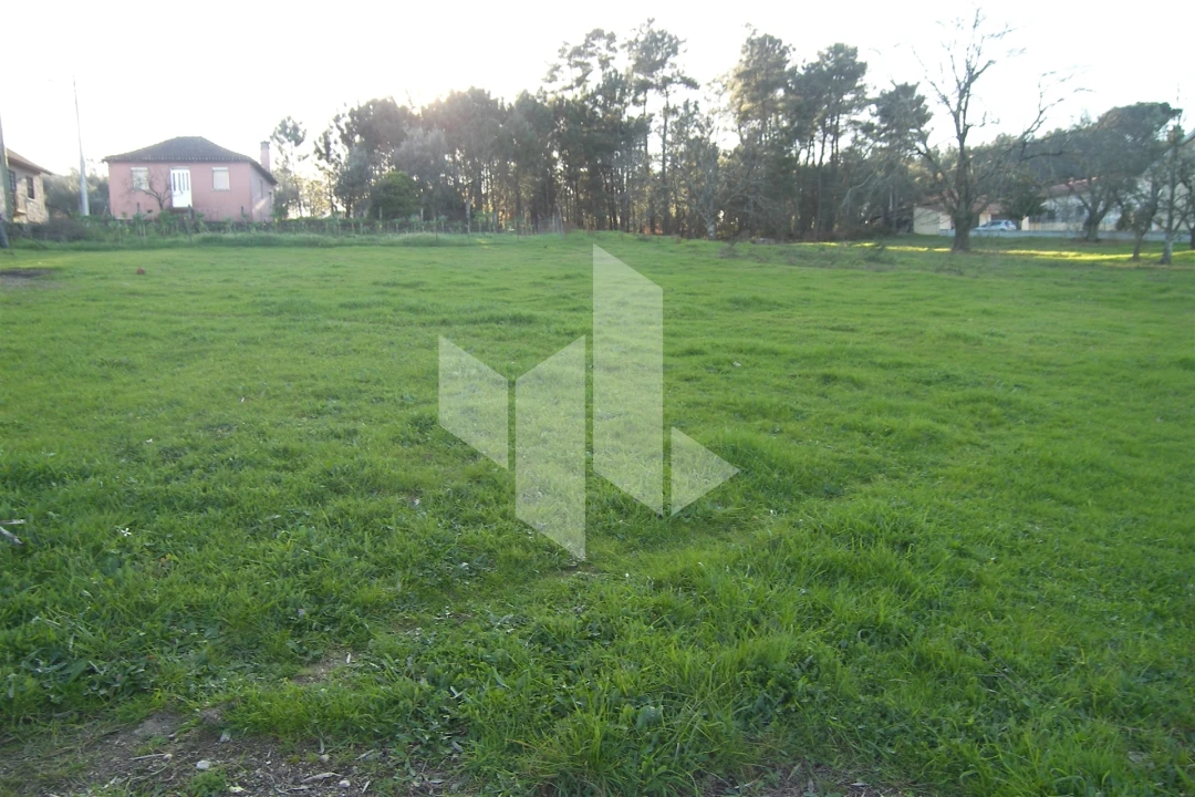 Terreno para Venda em São Miguel do Outeiro e Sabugosa Foto 9