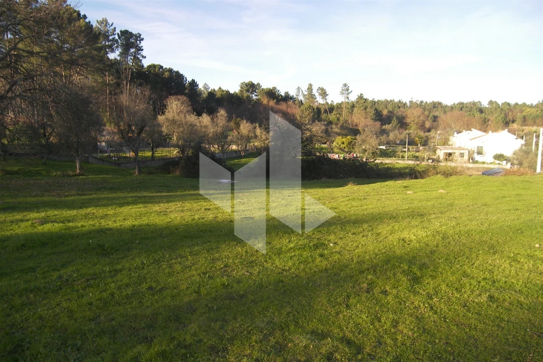 Terreno para Venda em São Miguel do Outeiro e Sabugosa Foto 2