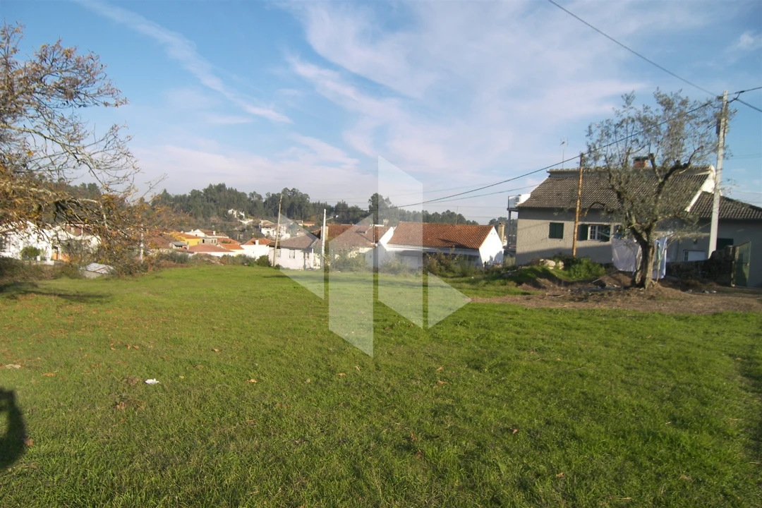 Terreno para Venda em São Miguel do Outeiro e Sabugosa Foto 5