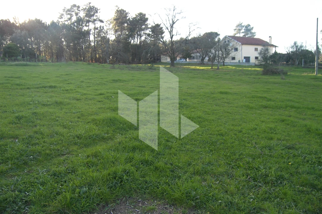 Terreno para Venda em São Miguel do Outeiro e Sabugosa Foto 10