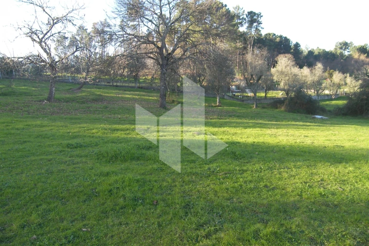 Terreno para Venda em São Miguel do Outeiro e Sabugosa Foto 4
