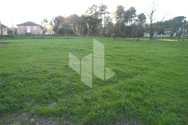 Terreno para Venda em São Miguel do Outeiro e Sabugosa Foto 9