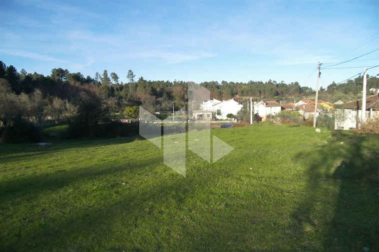 Terreno para Venda em São Miguel do Outeiro e Sabugosa Foto 8
