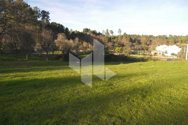 Terreno para Venda em São Miguel do Outeiro e Sabugosa Foto 2