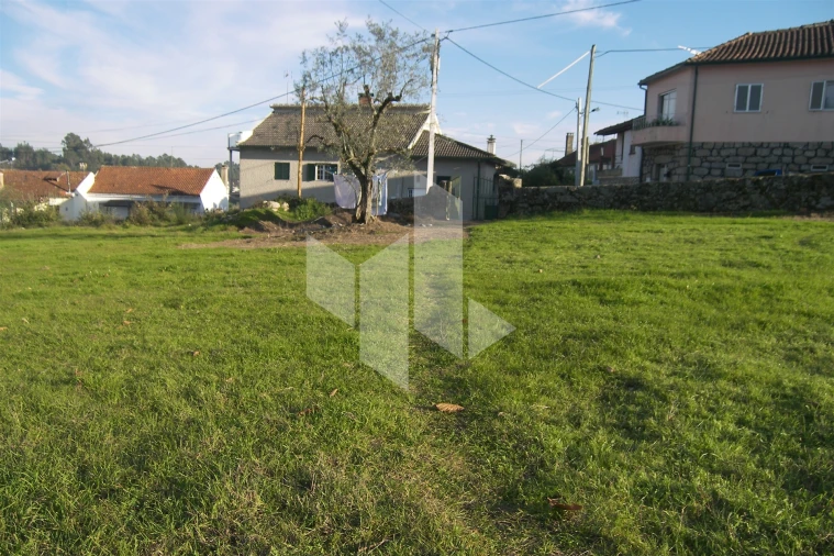 Terreno para Venda em São Miguel do Outeiro e Sabugosa Foto 6
