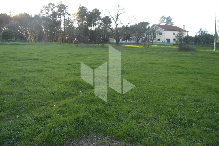 Terreno para Venda em São Miguel do Outeiro e Sabugosa Foto 10