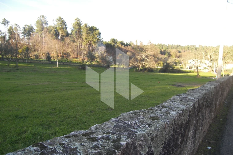 Terreno para Venda em São Miguel do Outeiro e Sabugosa Foto 7