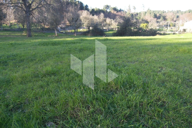 Terreno para Venda em São Miguel do Outeiro e Sabugosa Foto 11
