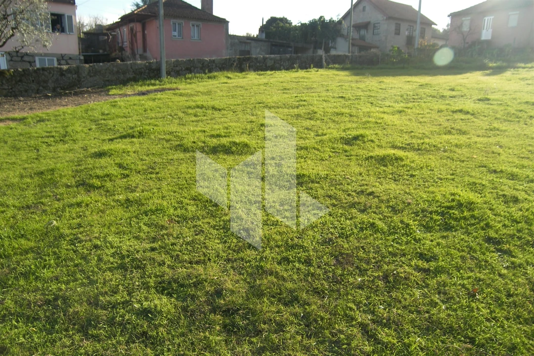 Terreno para Venda em São Miguel do Outeiro e Sabugosa Foto 3