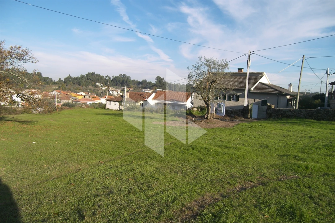 Terreno para Venda em São Miguel do Outeiro e Sabugosa Foto 1
