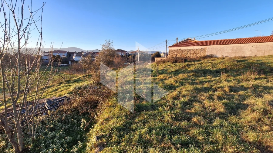 Terreno para Venda em Molelos Foto 4