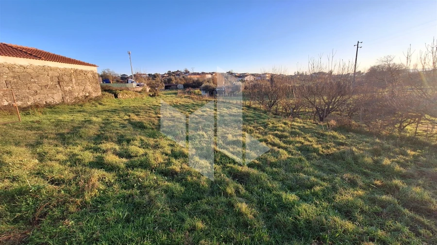 Terreno para Venda em Molelos Foto 2