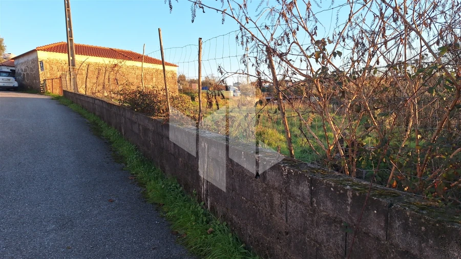 Terreno para Venda em Molelos Foto 12