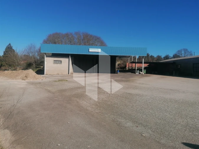 Armazém para Venda em Tondela e Nandufe Foto 3