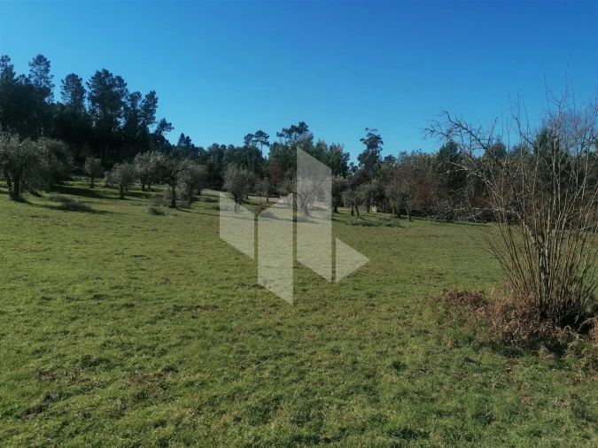 Armazém para Venda em Tondela e Nandufe Foto 17