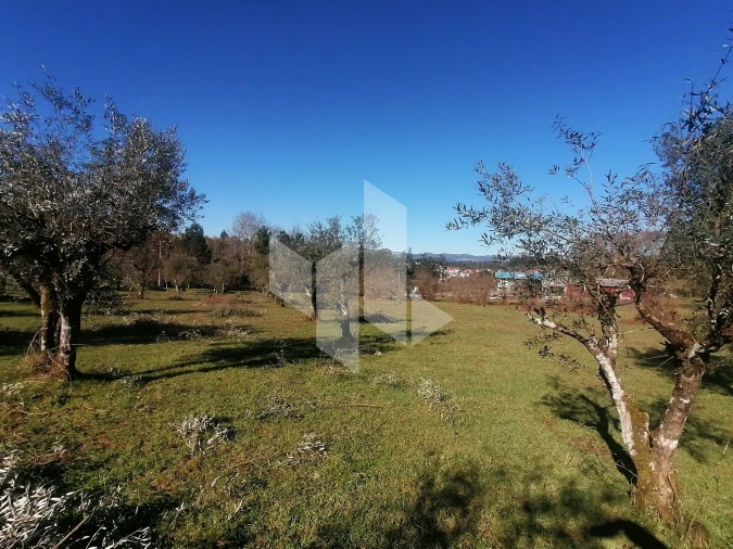 Armazém para Venda em Tondela e Nandufe Foto 16