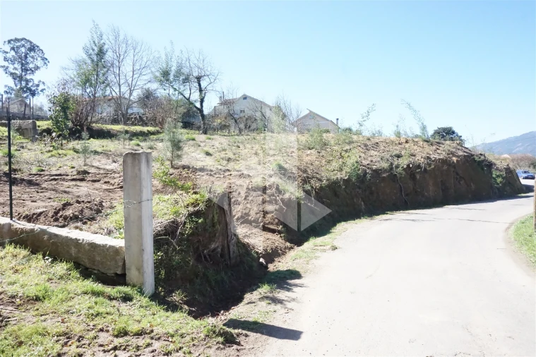 Terreno para Venda em Campo de Besteiros Foto 3