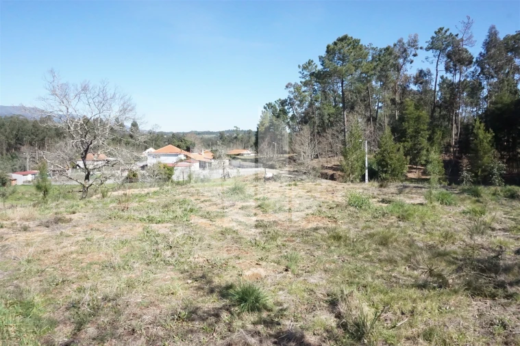 Terreno para Venda em Campo de Besteiros Foto 4