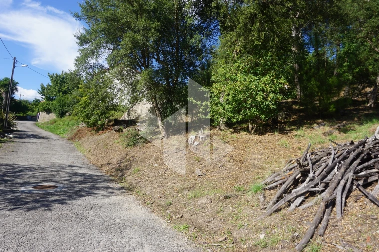 Terreno para Venda em Parada de Gonta Foto 3