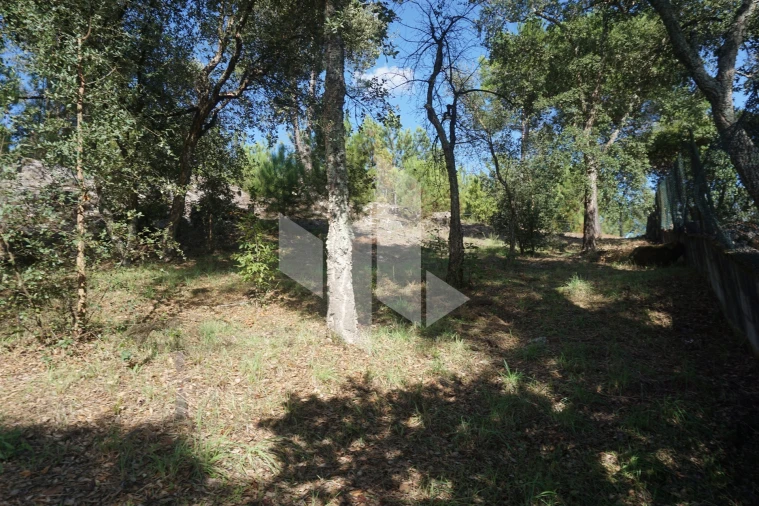 Terreno para Venda em Parada de Gonta Foto 4