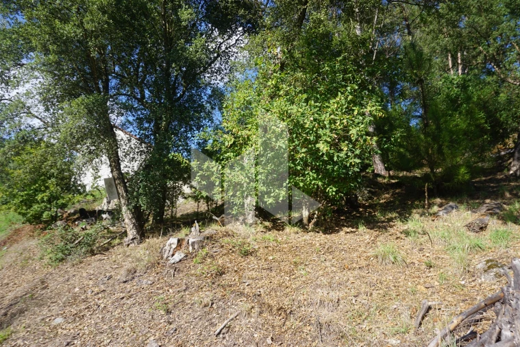 Terreno para Venda em Parada de Gonta Foto 5