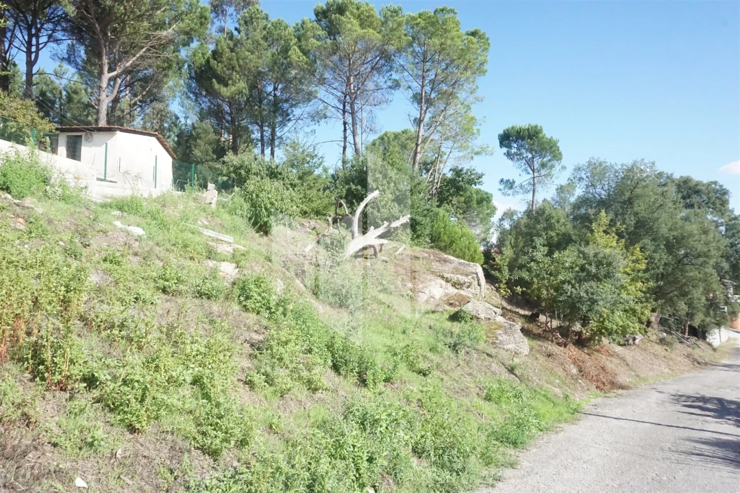 Terreno para Venda em Parada de Gonta Foto 2