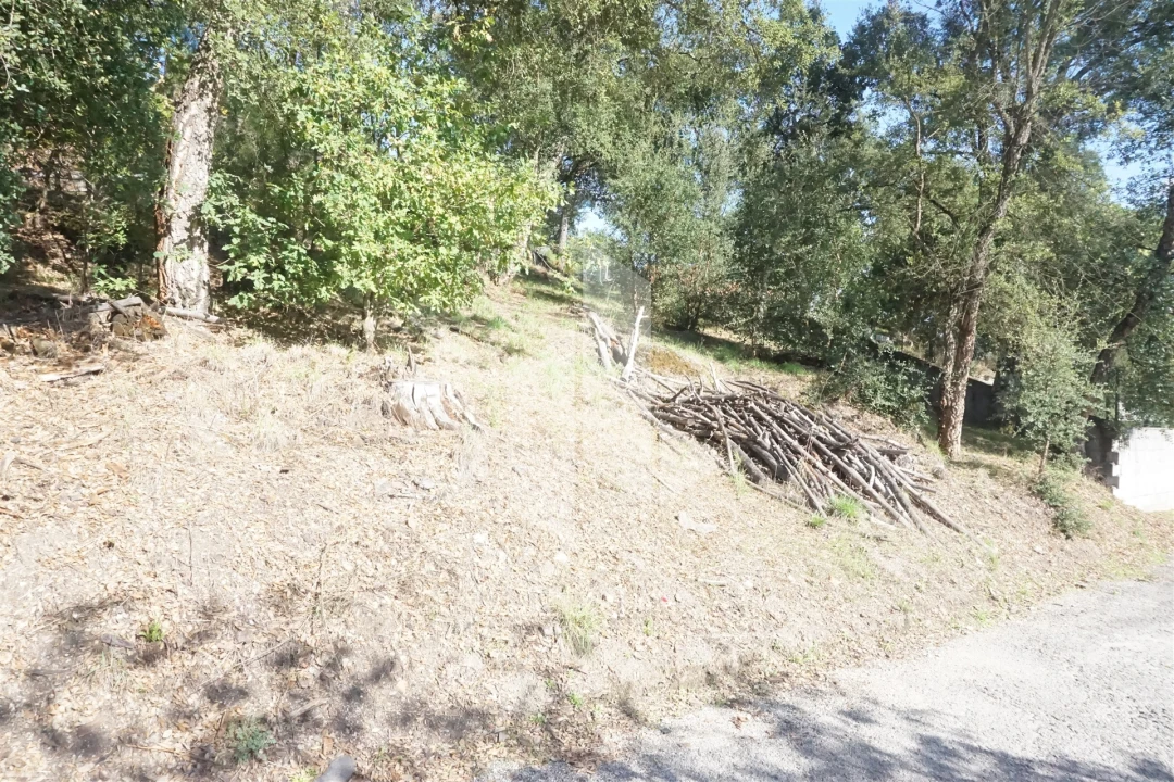 Terreno para Venda em Parada de Gonta Foto 1