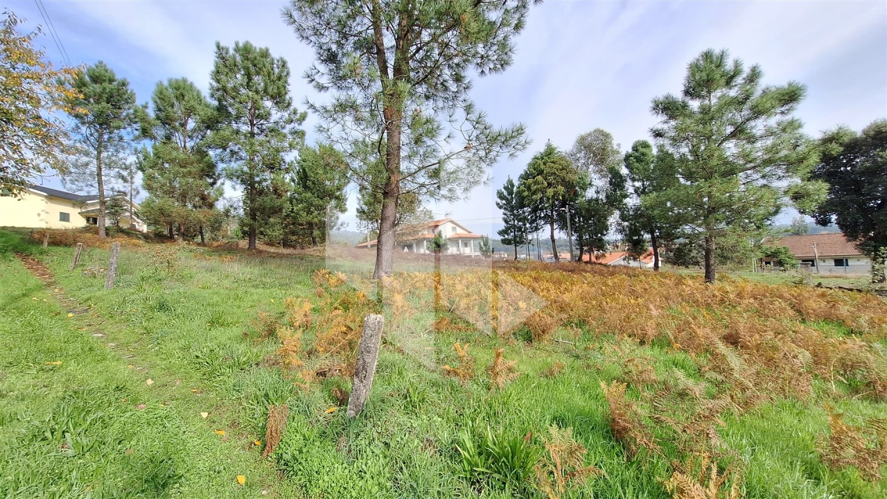 Terreno para Venda em Santiago de Besteiros Foto 6