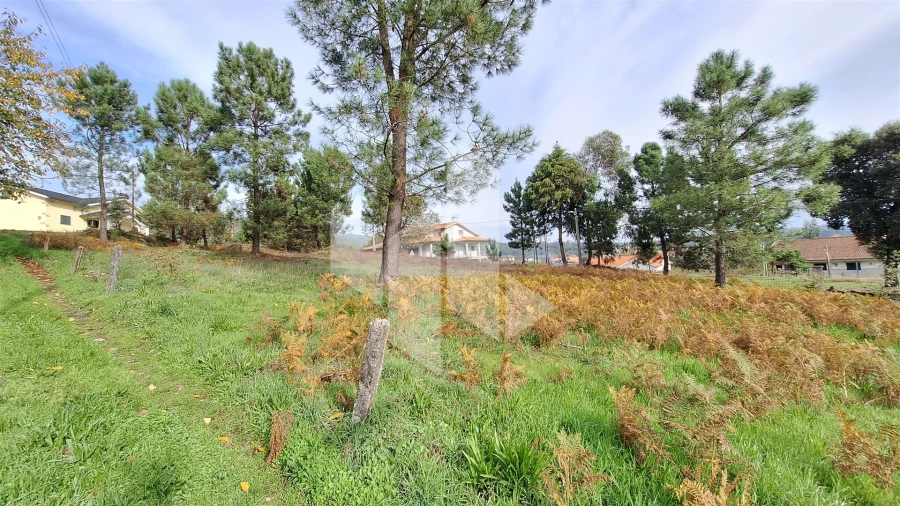 Terreno para Venda em Santiago de Besteiros Foto 6
