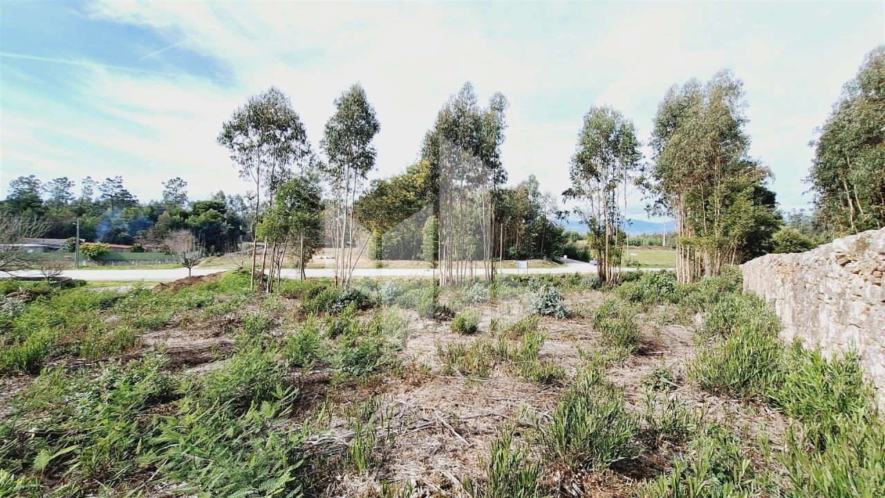 Terreno para Venda em Tondela e Nandufe Foto 6