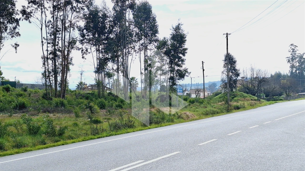 Terreno para Venda em Tondela e Nandufe Foto 2