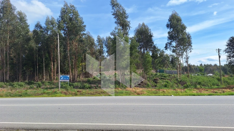Terreno para Venda em Tondela e Nandufe Foto 8