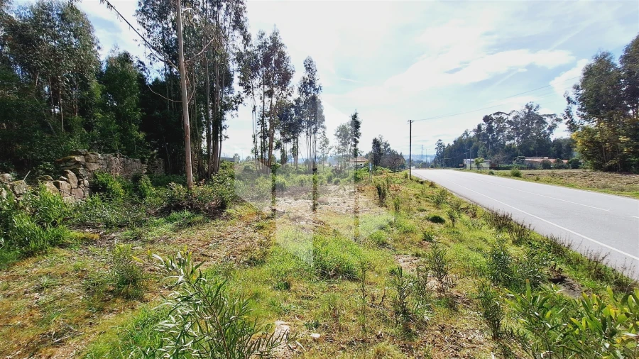 Terreno para Venda em Tondela e Nandufe Foto 5