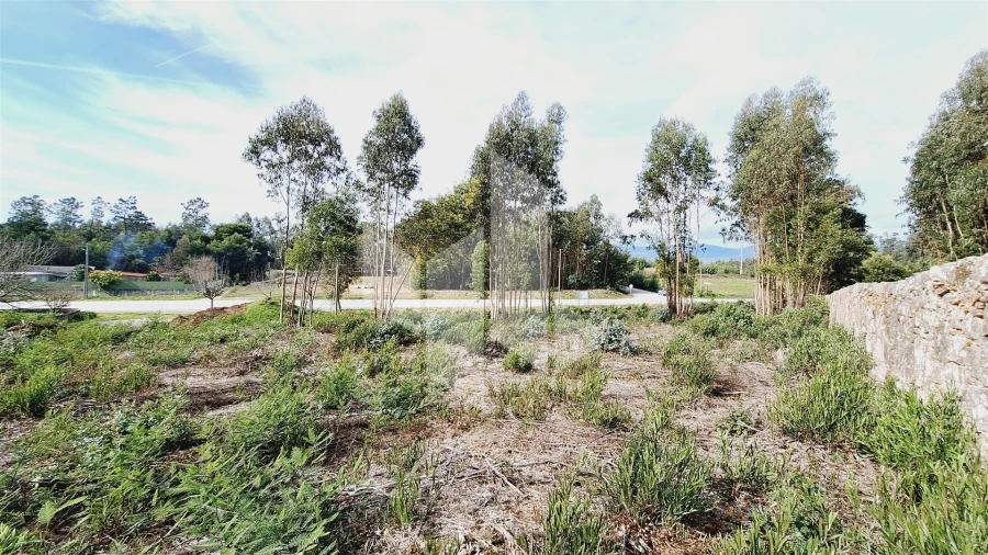 Terreno para Venda em Tondela e Nandufe Foto 6