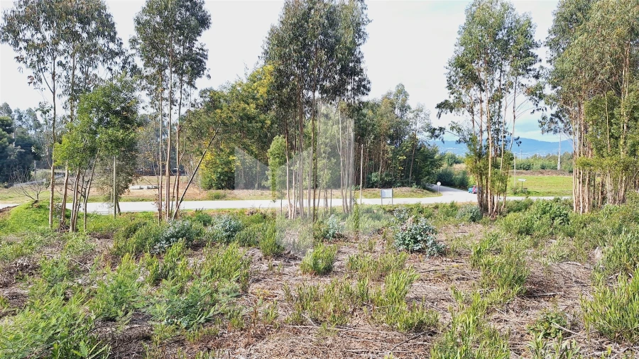 Terreno para Venda em Tondela e Nandufe Foto 3
