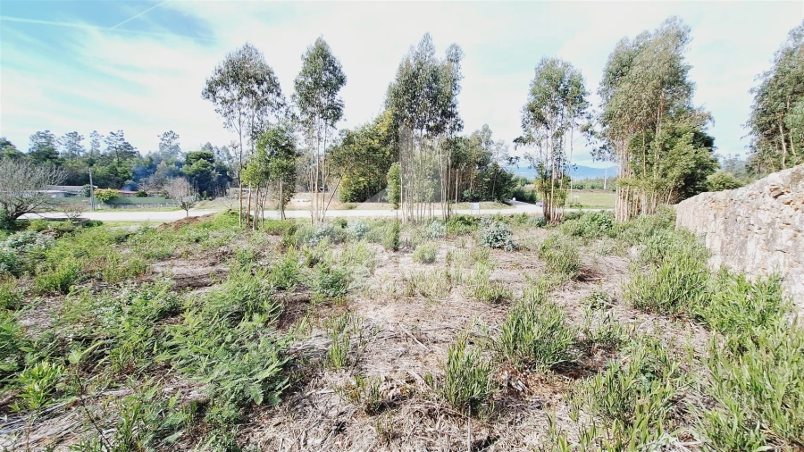 Terreno para Venda em Tondela e Nandufe Foto 7