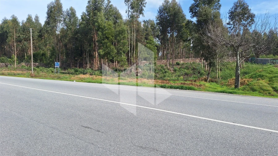 Terreno para Venda em Tondela e Nandufe Foto 1