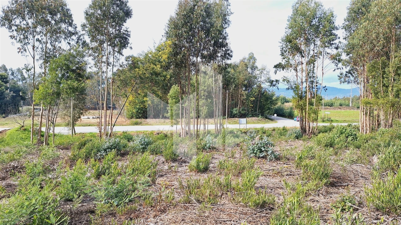 Terreno para Venda em Tondela e Nandufe Foto 3