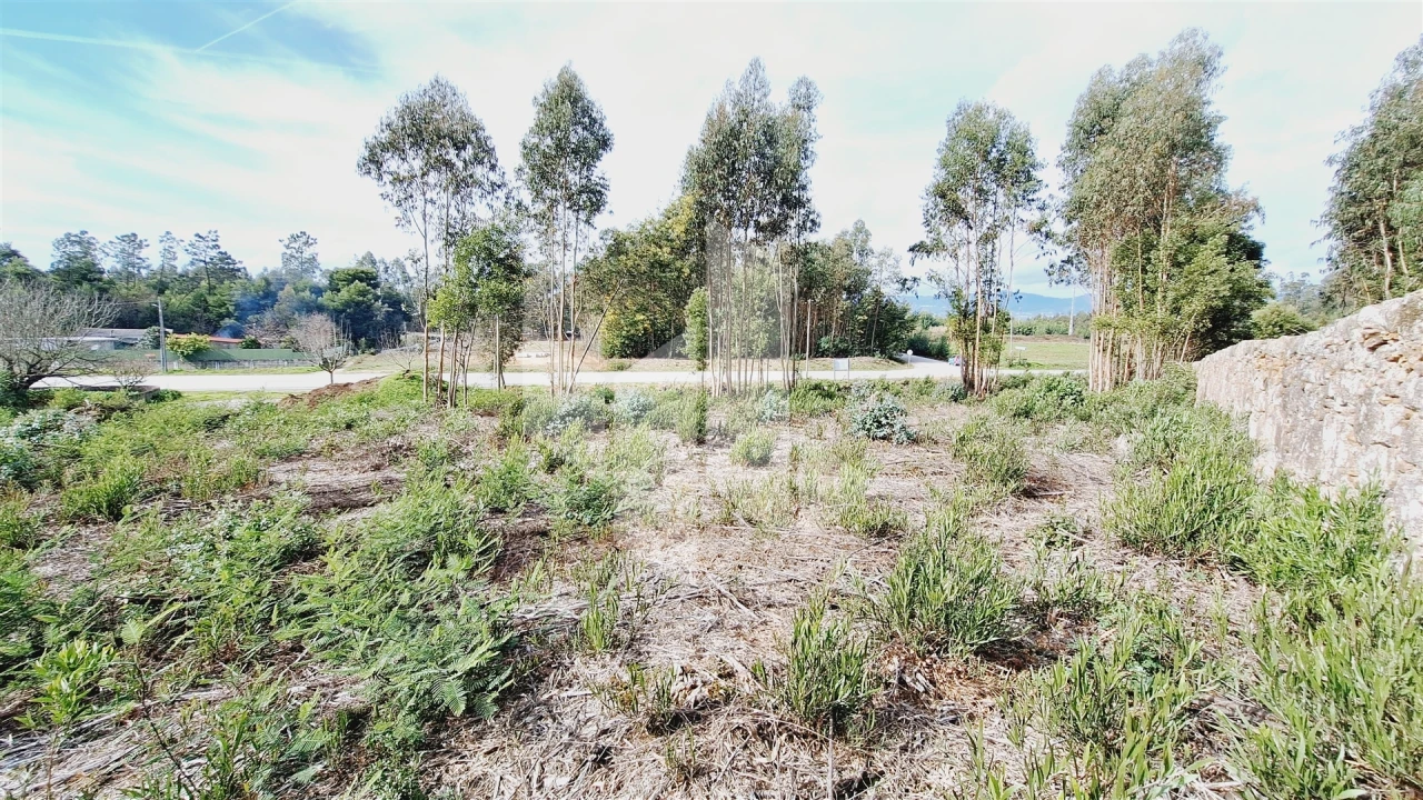 Terreno para Venda em Tondela e Nandufe Foto 7