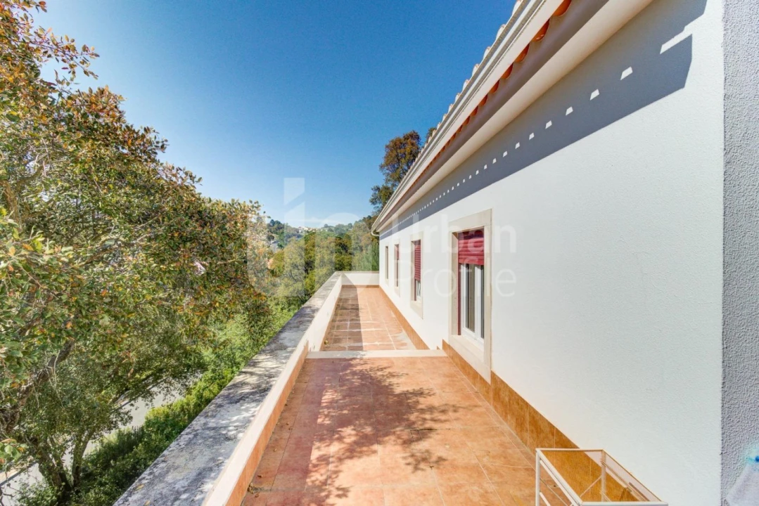 Quinta T4 para Venda em Lousa Foto 11